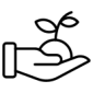 002 plant_kalp