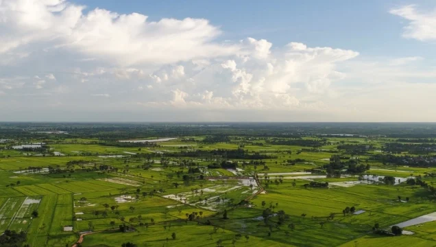 Farmland3