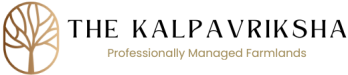 The Kalpavriksha Logo2b